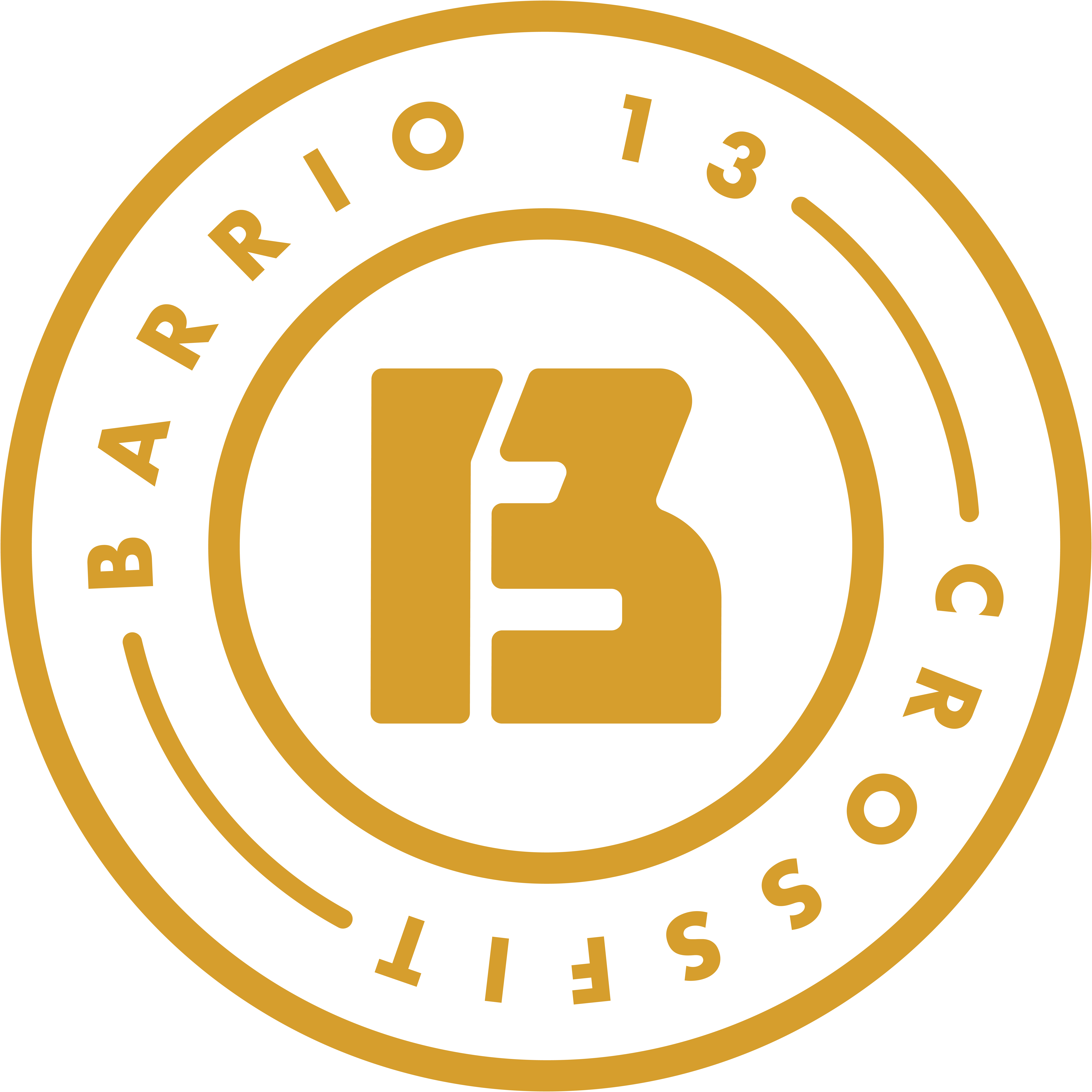 Barrio13 Training Club Logo
